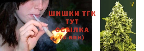 индика Гусев