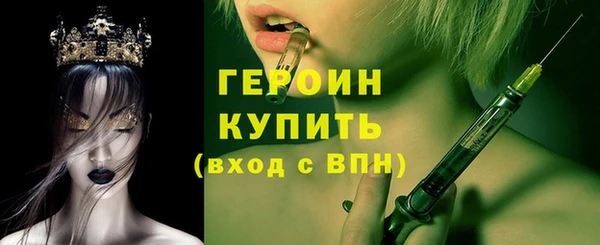 индика Гусев