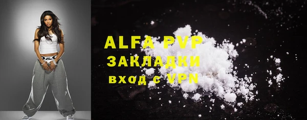 индика Гусев