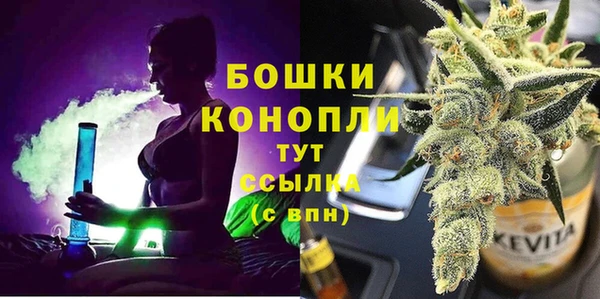 индика Гусев