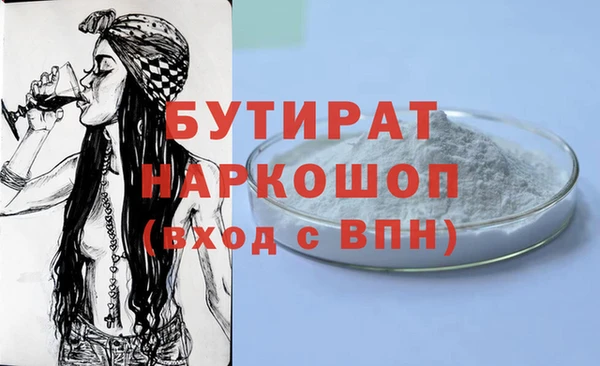 индика Гусев
