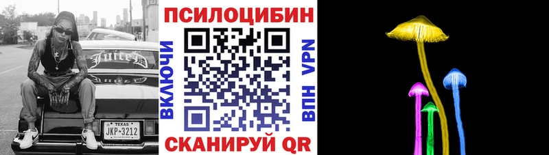 Псилоцибиновые грибы мухоморы  Купить закладки  Ивангород 
